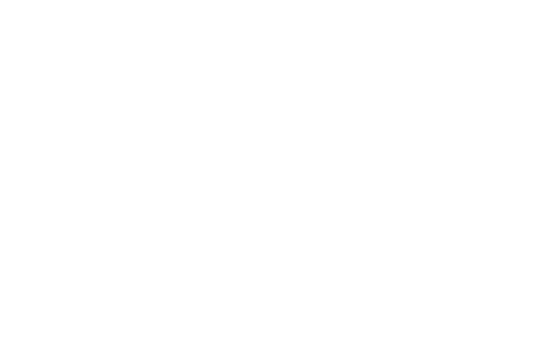 Hail Merry Logo