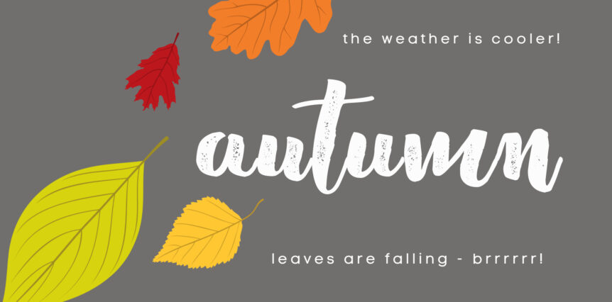 AUTUMN | the weather is cooler! leaves are falling - brrrr!